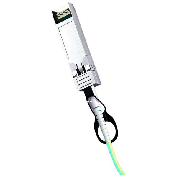 Should the access switch use gigabit or 10-gigabit speeds 