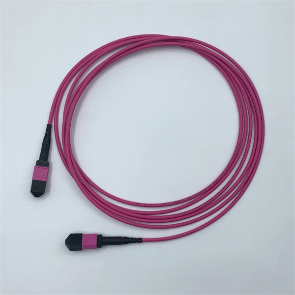Customized Data Center Fiber Optic Patch Cords